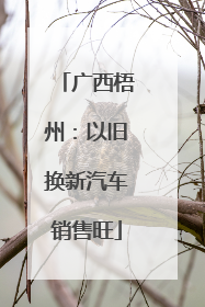 广西梧州：以旧换新汽车销售旺